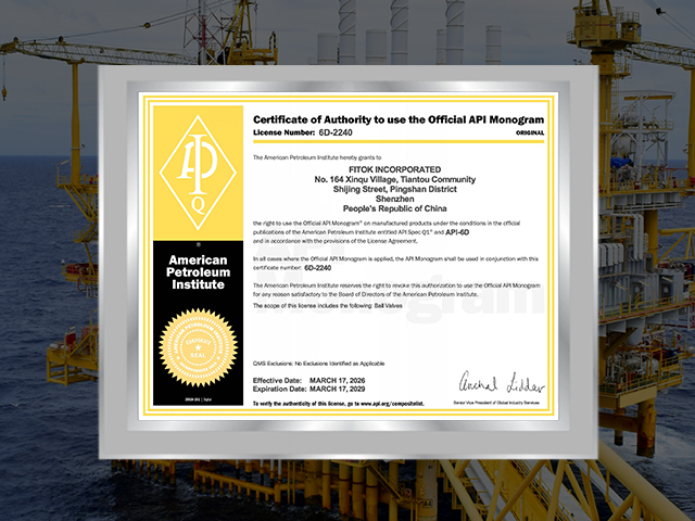 FENGBAO 荣获 API 6D 证书