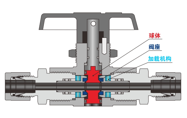 图2 风暴娱乐 BF 系列固定球阀剖面图